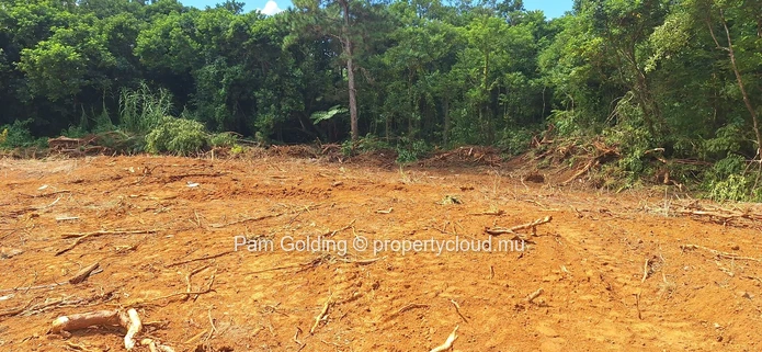 Prime Residential Land for Sale in Plaine D’hermitage – Ideal Investment Opportunity