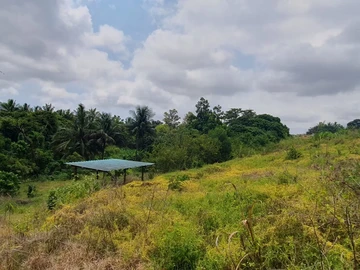 Agricultural Land