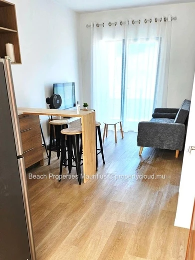 Beautiful 45m² Apartment With Mountain View