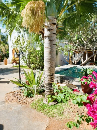 15 Bedroom Guest House For Sale in Albion