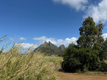 Agricultural Land