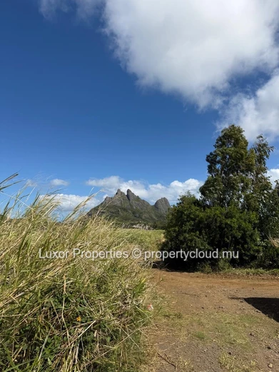 AGRICULTURAL LAND FOR SALE – Vacoas La Caverne
