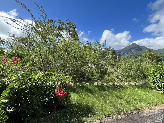FOR SALE - Strategically Located Freehold Residential Plot.