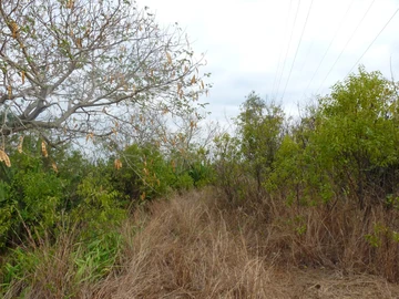 Residential Land