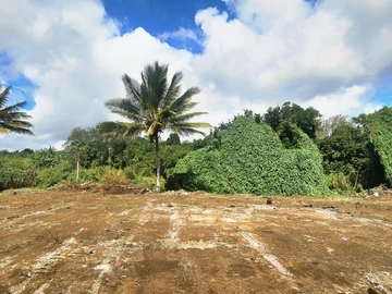 Agricultural Land
