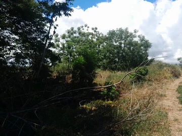 Terrain Résidentiel