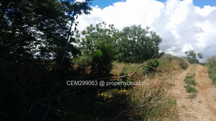 Terrain de 3.75 arpent en bord de mer à vendre à Panchavati - Île d'Ambre