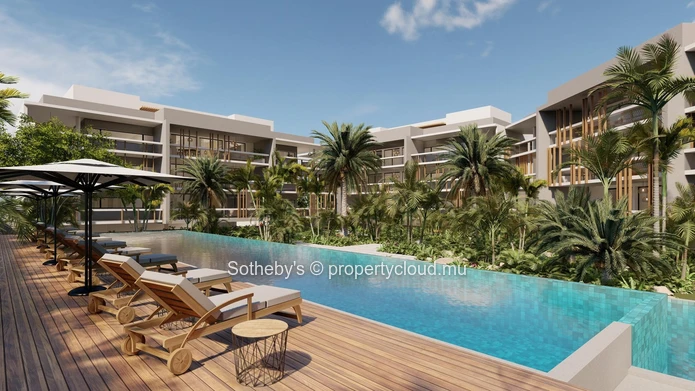 Coconut Luxury