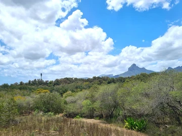 Residential Land