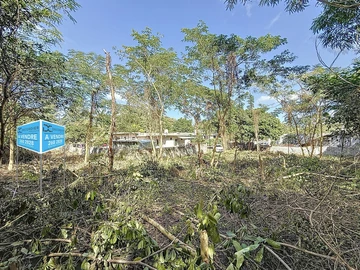 Terrain