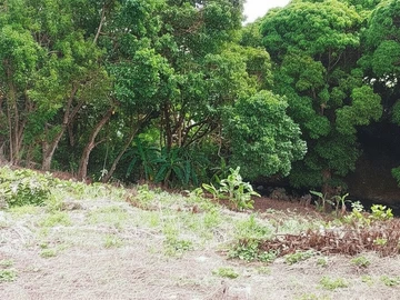 Residential Land