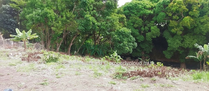 Residential Land For Sale – Bonne Mère, Flacq (Sole Mandate)