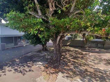 Residential Land