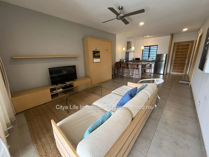 Luxury 2-bedroom apartment for rent in Choisy-les-Bain