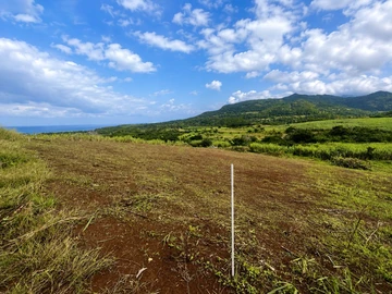 Agricultural Land