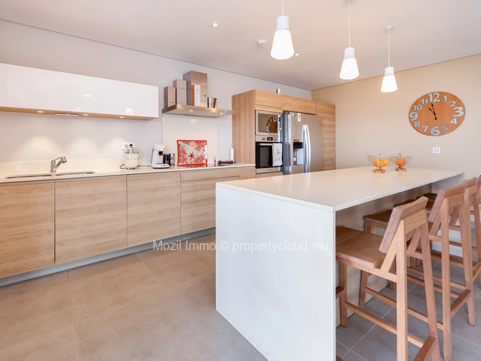 Sumptuous Penthouse with 3 en-suite bedrooms, Choisy les Bains residence