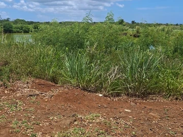 Residential Land