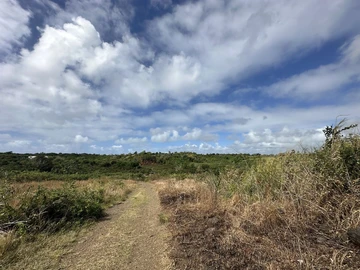 Residential Land