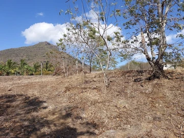 Terrain