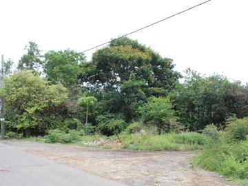 Terrain Résidentiel