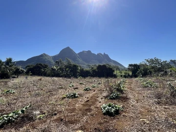 Agricultural Land