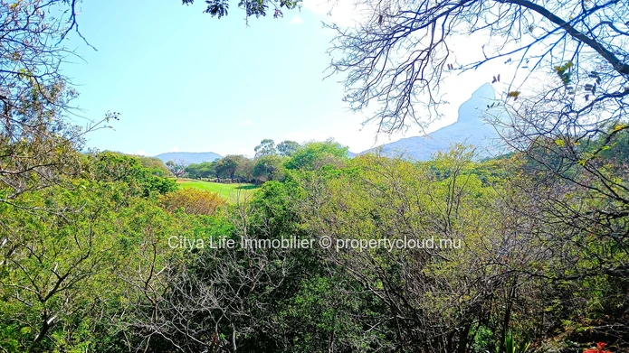 For Sale: Luxurious 4-Bedroom Villa in Tamarin