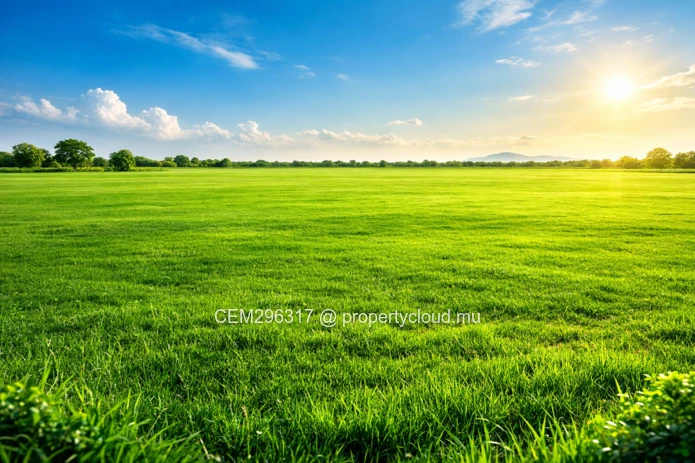 3 arpents Industrial Land For Sale in La Tour Koenig, Pointe aux Sables – Excellent location