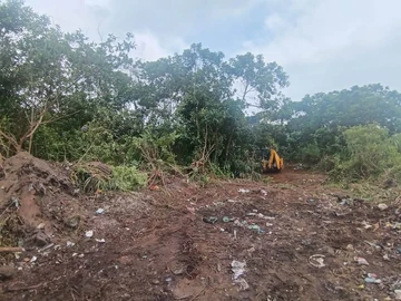 Terrain