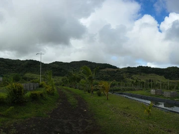 Agricultural Land