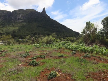 Residential Land
