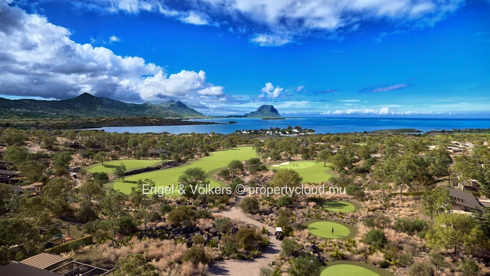 Villa S – A Nature-Inspired Sanctuary on the West Coast