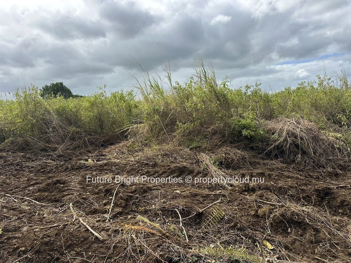 206 perches Agricultural Land for Sale in Providence Quartier Militaire.