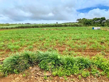 Agricultural Land