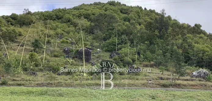 RODRIGUES - Terrain résidentiel en toute propriété - 60 Perches