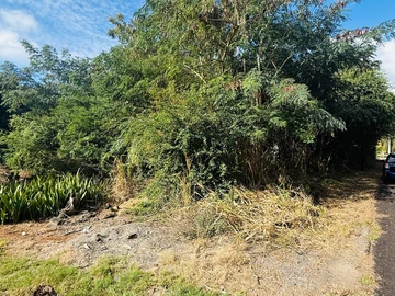 Land