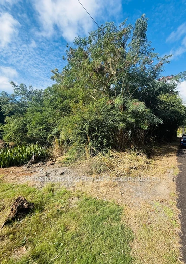 Morcellement Balaclava -residential land with 30m reserve by the river