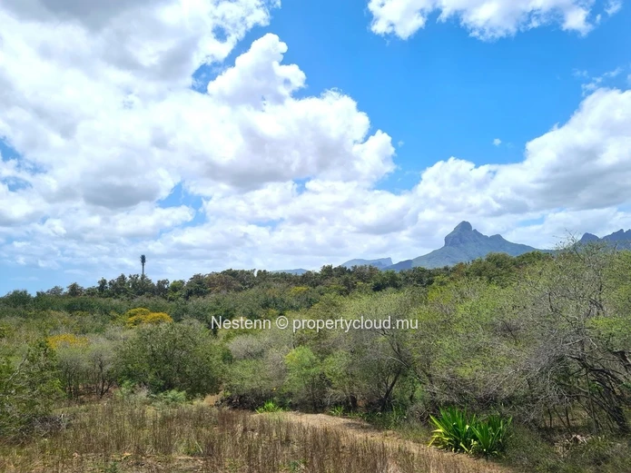Superb residential plot of 29,959 m2 in a secure domain