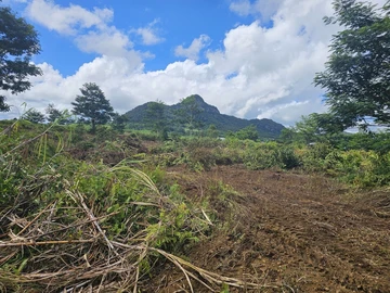 Terrain Agricole
