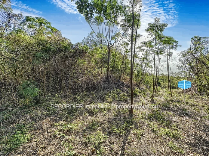 For Sale La Salette Grand Baie Building Plot