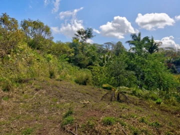 Residential Land