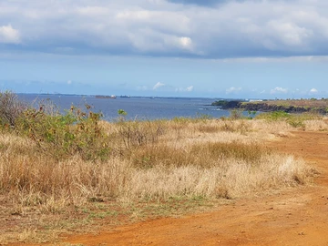Residential Land