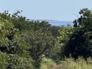 Land