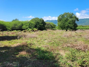 Terrain Résidentiel