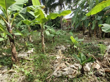 Residential Land