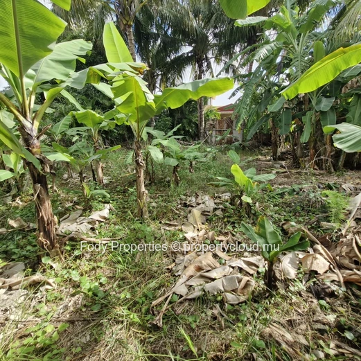 Residential Land at Hermitage, Central Flacq