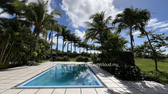Spacious house and garden