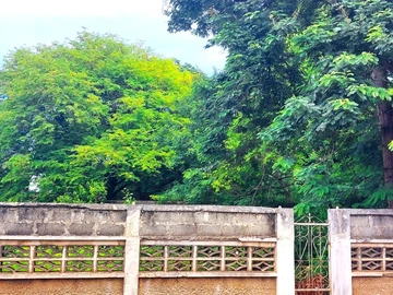 Residential Land