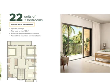 3 Bedroom Apartment
