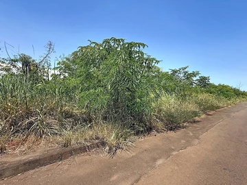 Land
