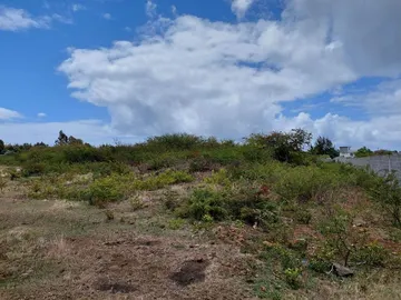 Terrain en vente à Bain Boeuf 